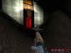 riot2.jpg (72482 bytes)